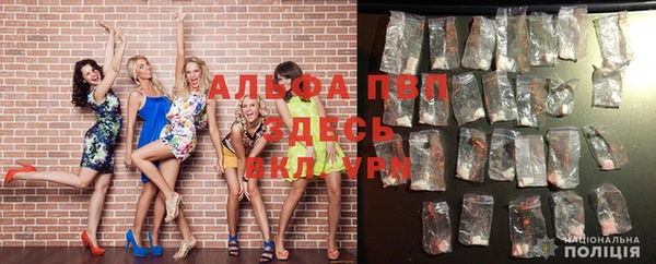 spice Арсеньев