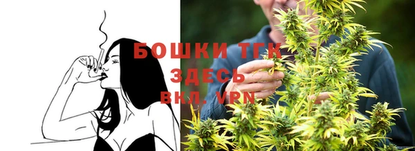spice Арсеньев